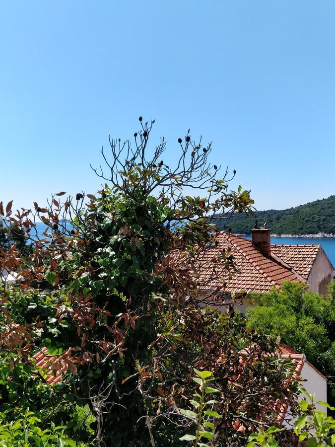 Adriatic *