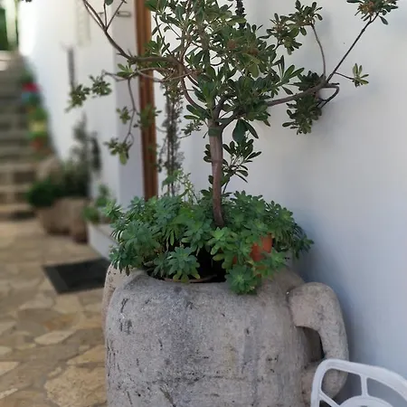 Adriatic Apartments Dubrownik Zewnętrze zdjęcie