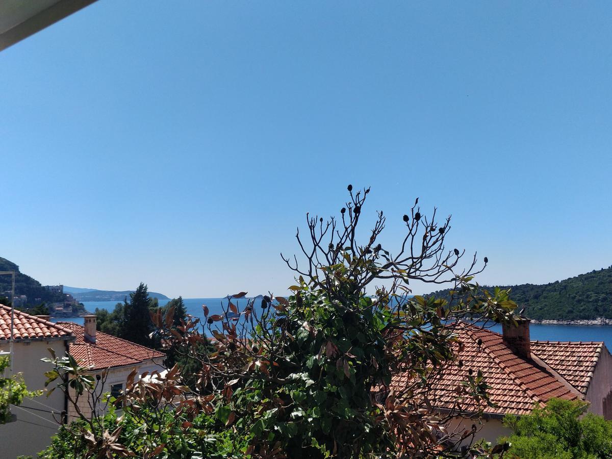 Adriatic *