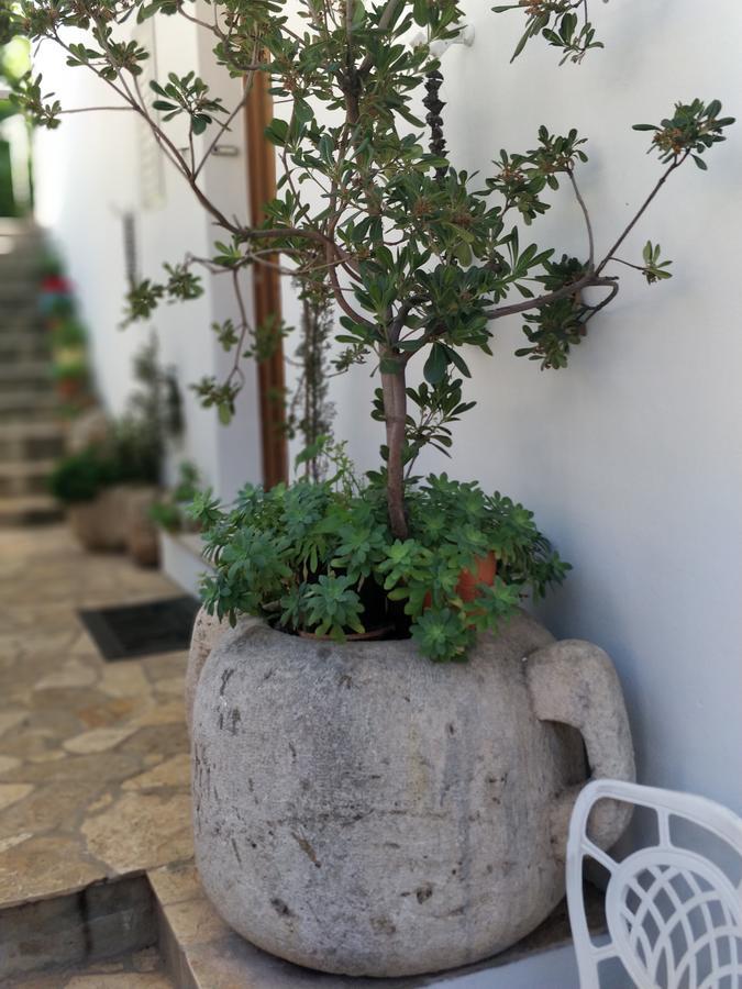 Adriatic Apartmán